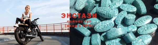 гидра Липки