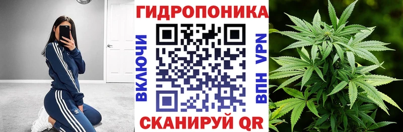 Шишки марихуана THC 21%  Купить закладки  Полтавская 